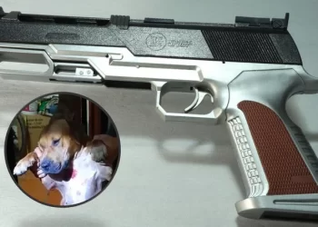 Pediatra atacó a Pitbull con arma de fuego en Ibagué