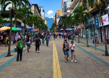 Fenalco pide operativos de espacio público en contra de vendedores ambulante en Ibagué