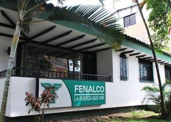 Reemplazar el día sin carro y sin moto por otra actividad pidió Fenalco, Tolima