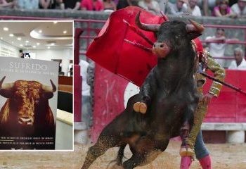 Aprobado en primer debate proyecto que busca prohibir corridas de toros en Colombia