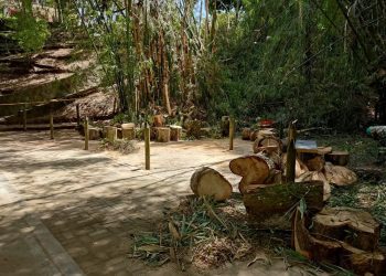 ¿Qué pasa con el Parque Centenario?