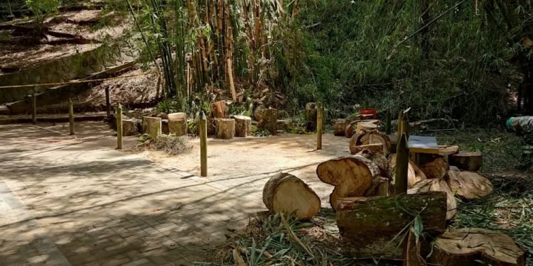 ¿Qué pasa con el Parque Centenario?