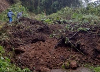 Incomunicados en la Vereda el Silencio de Ibagué