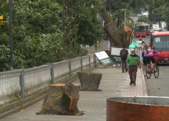 Se estrenó el documental en Ibagué: “Ecocidio Los Samanes”