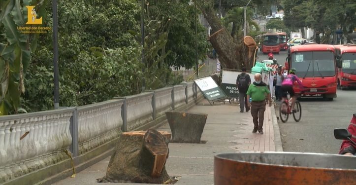Se estrenó el documental en Ibagué: «Ecocidio Los Samanes»