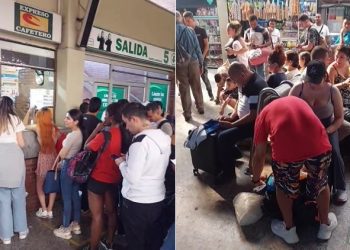 Así luce la terminal de transporte de Ibagué para este puente festivo