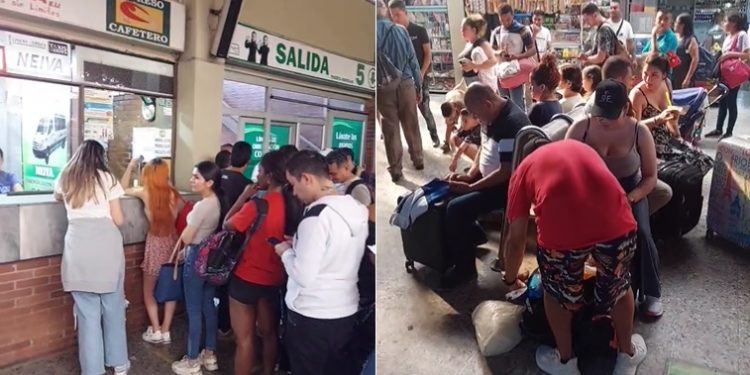 Así luce la terminal de transporte de Ibagué para este puente festivo