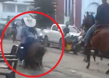 Mula sufrió Maltrato Animal en Fesno, Tolima