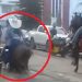 Mula sufrió Maltrato Animal en Fesno, Tolima