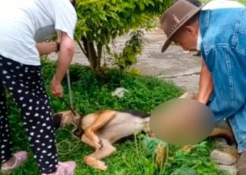 Programa de Comunicación Social – Periodismo de la UT con acreditación internacional