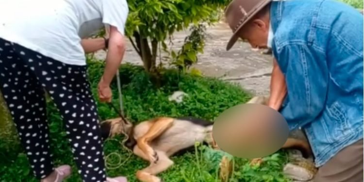 Programa de Comunicación Social – Periodismo de la UT con acreditación internacional