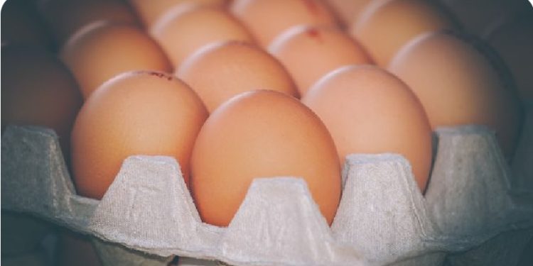 ¿Por qué el incremento del huevo en Colombia?