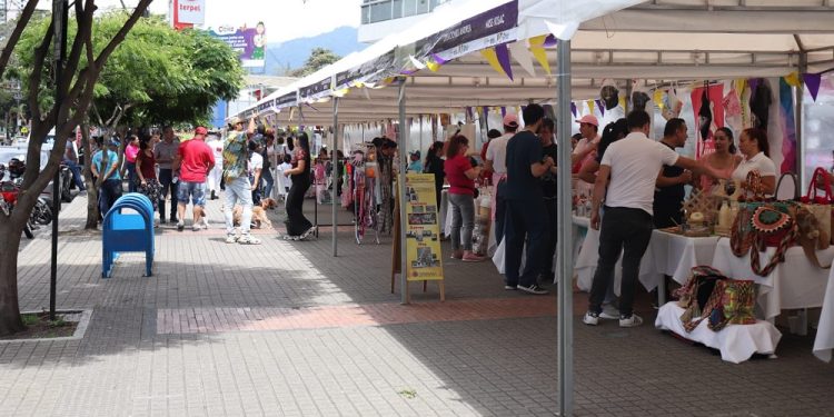 Jóvenes no la tienen fácil para emprender en Ibagué