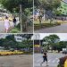 Taxistas levantaron los bloqueos de las vías de Ibagué