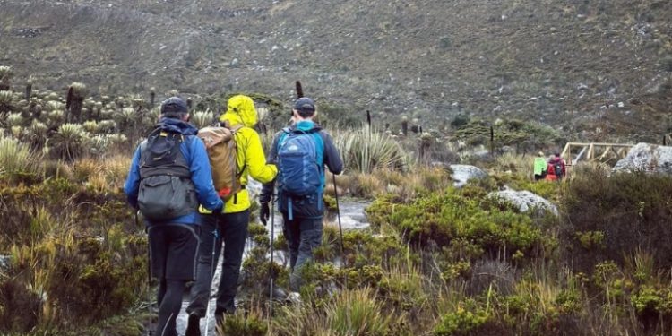 Crisis en el gremio ecoturístico de montaña por cierre del Parque Nacional Natural
