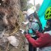 Seis departamento incluyendo al Tolima por suspensión de Gas