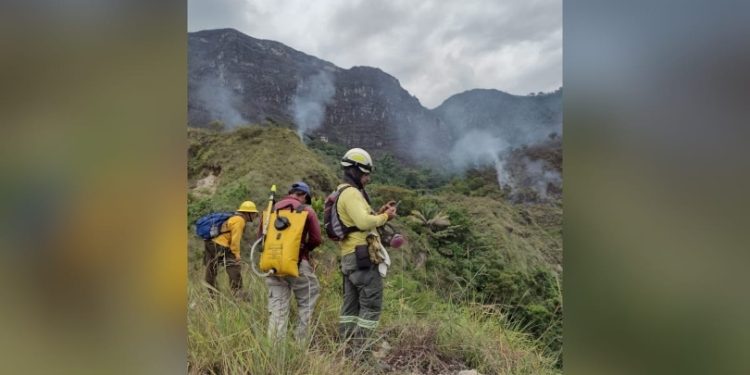 Advierten Fenómeno del Niño y llaman a prevenir incendios forestales