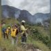 Advierten Fenómeno del Niño y llaman a prevenir incendios forestales