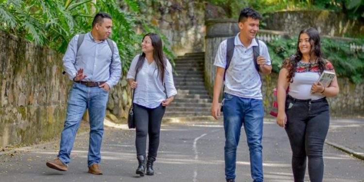 ¡Jóvenes! haga parte de la Plataforma Municipal de Juventudes en Ibagué