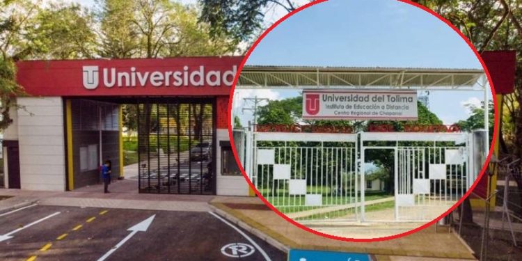 Gobierno Petro priorizó la construción de la sede sur para la UT