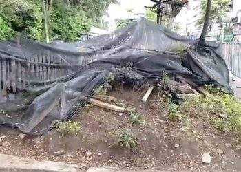 Desfile dejó daños en las zonas verdes de la carrera Quinta de Ibagué