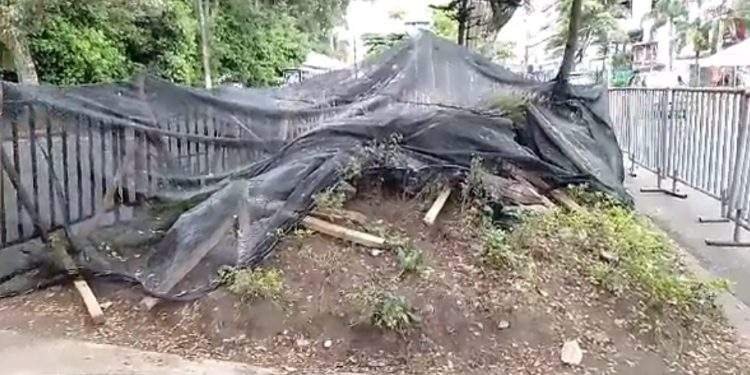 Desfile dejó daños en las zonas verdes de la carrera Quinta de Ibagué