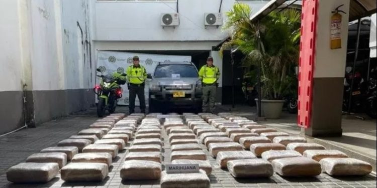 Incautados 473 kilos de marihuna en las vías del Tolima