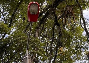 Presuntas irregularidades en el proceso de instalación de luminarias LED en Ibagué