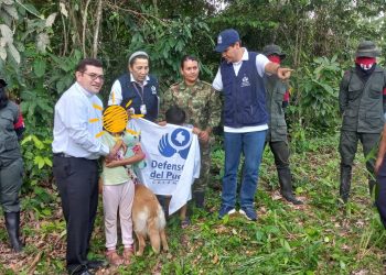 ELN libera a sargento y sus hijos tras cuatro días de secuestro en Colombia