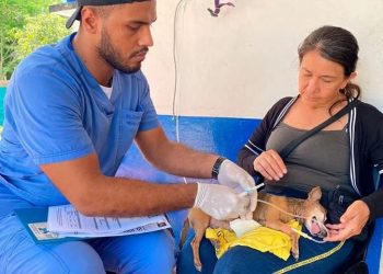 CAPA Brinda Atención Veterinaria Gratuita para Mascotas en Ibagué