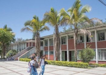 Deserción escolar se convierte en un desafío para la educación en Ibagué