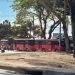 Cuatro días de caos vial en Ibagué debido al paro transportador