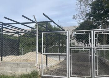 Escándalo por Licencia Exprés en Área de Protección Ambiental en Ibagué