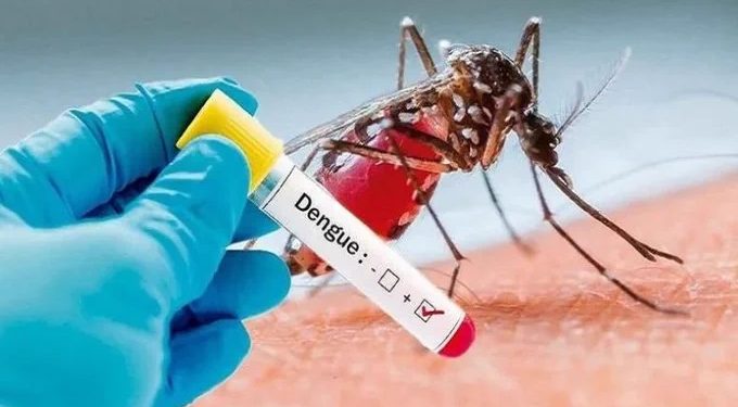 Preocupante incremento de casos de dengue en menores de edad en Ibagué
