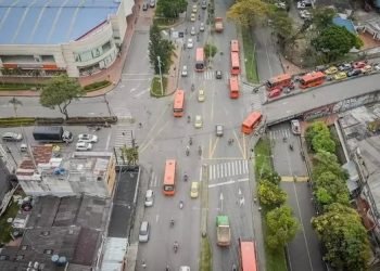 En 45 días podría ser la tala de los arboles en la calle 60 de Ibagué