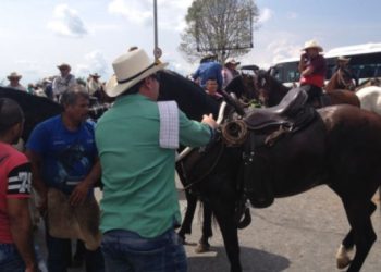 Procuraduría advierte sobre cabalgata ilegal en Ibagué el 16 de septiembre