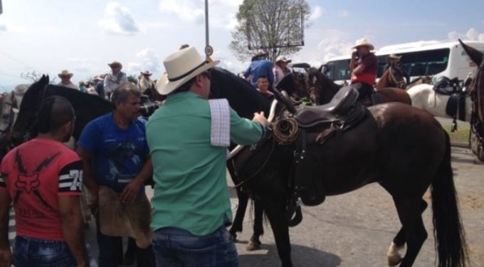 Procuraduría advierte sobre cabalgata ilegal en Ibagué el 16 de septiembre