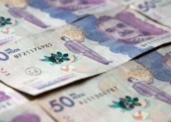 Incremento del salario mínimo para 2024: aumento del 12% anunciado por el presidente