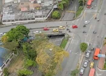 Cortolima niega permiso de aprovechamiento forestal en la calle 60 de Ibagué