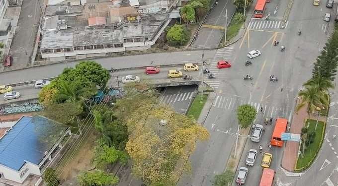 Cortolima niega permiso de aprovechamiento forestal en la calle 60 de Ibagué