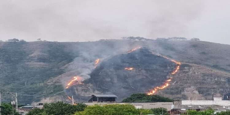 Equipos de emergencia controlan incendios en Honda y Líbano