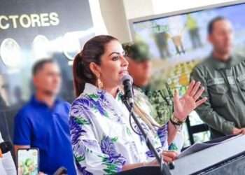 Procuraduría solicita al Consejo de Estado negar suspensión de elección de Adriana Magali