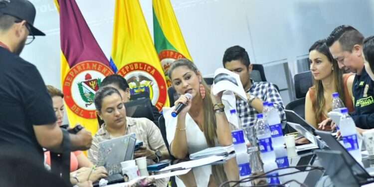 Consejo Extraordinario por Actividad Sísmica del Nevado del Ruiz en el Tolima