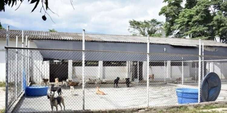 Hurtado; antes de irse entregó al contratista del Mega Capa una prórroga adicional