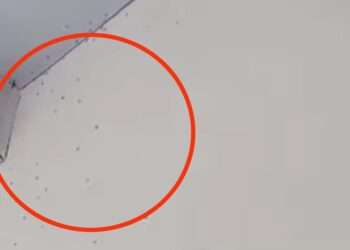 Hospital San Francisco de Ibagué Lleno de Zancudos