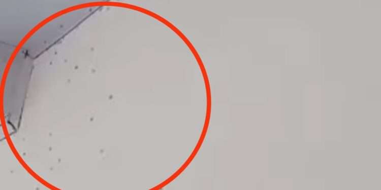 Hospital San Francisco de Ibagué Lleno de Zancudos