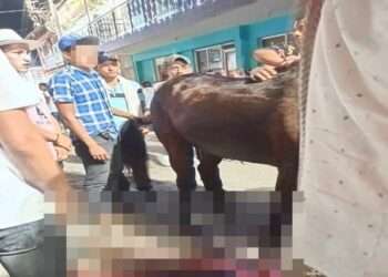Ataque con cuchillo a caballo durante fiestas locales en Casabianca, Tolima