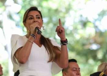 Gobernadora del Tolima Pide Captura de Agresor Sexual de Perrita en Melgar