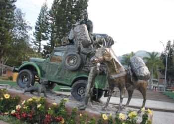 Cajamarca, un Tesoro Natural: Destino Emergente para el Aviturismo en Colombia