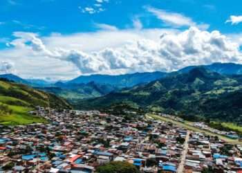Planadas se consolida como líder en producción de café en el Tolima